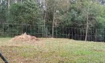 Imagem 4: Terreno em Dois Irmãos