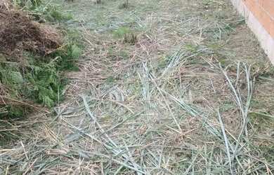 Imagem 6: Terreno Em Campo Grande