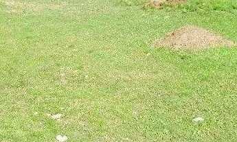 Imagem 2: Terreno à venda, 650 m² por R$ 1.600.000 - Ingleses do Rio Vermelho - Florianópolis/SC