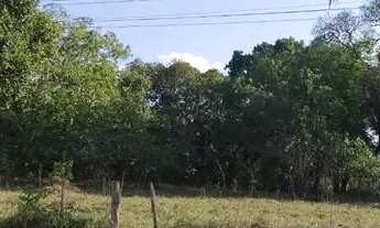 Imagem: VENDO 113.406m² em Alagoinhas