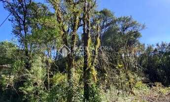 Imagem 3: TERRENO EM GRAMADO, PLANO NO BAIRRO CARNIEL