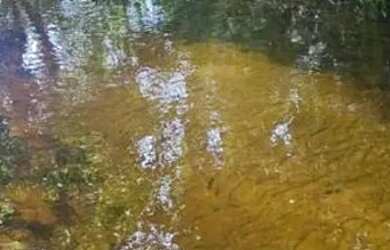 Imagem: TERRENO COM IGARAPE NA PISTA