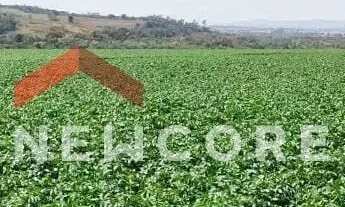 Imagem 3: Sítio em Rua Saldanha Marinho - Centro - Itapetininga/SP