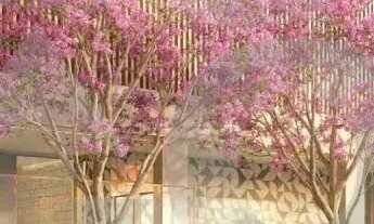 Imagem 7: Dune Simple Life - Viva o Melhor da Aruana!