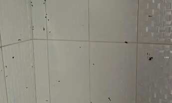 Imagem 5: Loja aluguel Sepetiba, Rua Aristide Gouveia número 618 com bom espaço e banheiro e porta