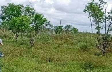 Imagem 3: Vendo 2 lotes Terreno / lote com venda por R$22.500