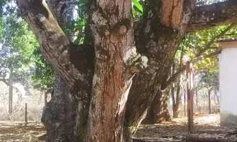 Imagem 4: Imóvel para venda com 5000 metros quadrados em Residencial Itaipú II - Abadia de Goiás - G