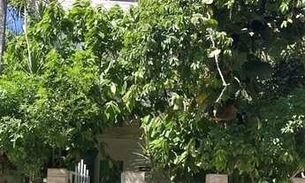 Imagem: Prédio com 3 pavimentos no centro de Itacaré