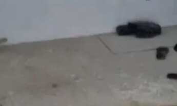 Imagem 4: SOBRADO - VILA ELDÍZIA - SP