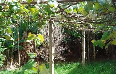 Imagem 5: Casa em Nonoai Casa com 3 dormitórios