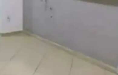 Imagem 2: APARTAMENTO 2 QUARTOS EM PIATÃ