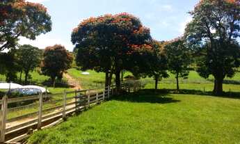 Imagem: Fazenda, 50 hectares, casarão, muita baixada