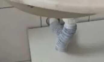 Imagem 4: Apartamento para Locação 3 Dormitórios