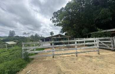 Imagem 5: Sítio com 3 dormitórios à venda, 196020 m² - Jardim Querência Do Turvo - Capão Bonito/SP