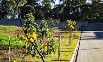 Imagem 5: Terreno à venda, 1249 m² por R$ 920.000,00 - Vittório Emanuele Residencial - Sorocaba/SP