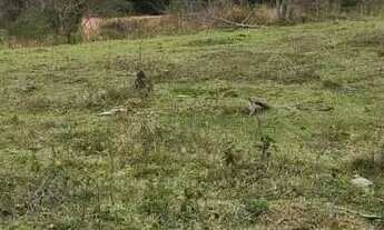 Imagem 4: Terrenos de 20.000 m² Com Vista Para a Represa de Piracaia