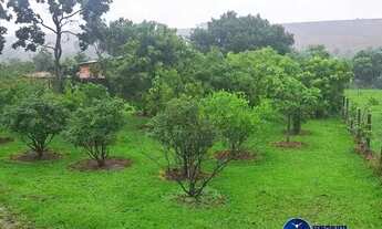 Imagem 4: Chácara à Venda em Piracanjuba - GO