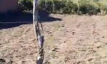 Imagem 2: Terreno / Lote - Quebradas III - Salgado