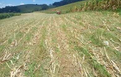 Imagem 5: Fazenda , 50 hectares, casarão, muita baixada