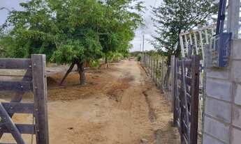 Imagem 2: Linda Chácara em Petrolina PE