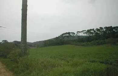 Imagem 4: Área à venda, 78301 m² por R$ 7.500.000,00 - Jardim Silvana - Almirante Tamandaré/PR