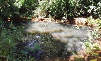 Imagem 6: Área de 1.700metros, terra de plantio com,agua,luz. WhTSApp * Guilherme