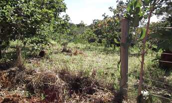 Imagem 7: Área de 1.700metros, terra de plantio com,agua,luz. WhTSApp * Guilherme