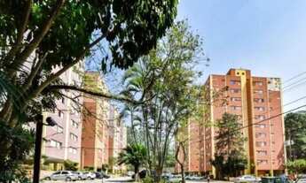 Imagem 2: Parque das Flores São Bernardo do Campo