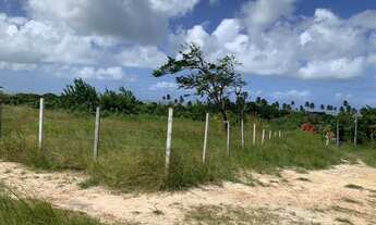 Imagem 3: Lotes Praia do Sossego Itamaraca