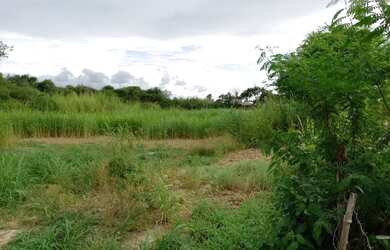 Imagem 7: Haras para Venda em Gravatá, Gravatá Centro