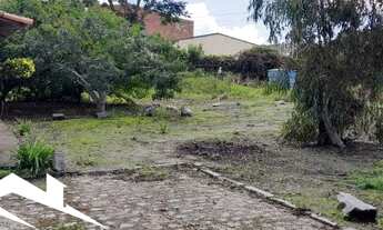 Imagem 3: Excelente Sítio Urbano em Gravatá de 1.5 hectare