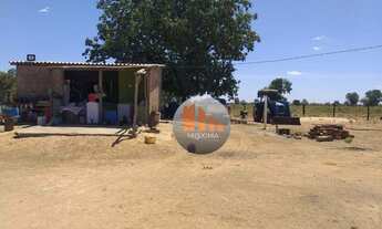 Imagem: Fazenda, 4000 hectares - venda por R$ 30.000.000