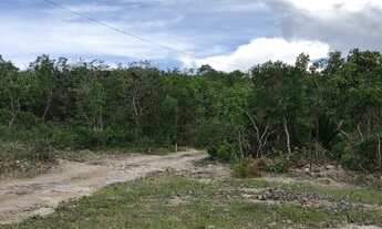 Imagem 3: Chácara 4000m², Muito Arborizada, Energia, Local Agradável, Entre Guapó/Aragoiânia