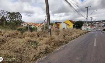 Imagem 3: Lote/Terreno para venda com 3242 metros quadrados em Jardim Amélia - Pinhais - PR