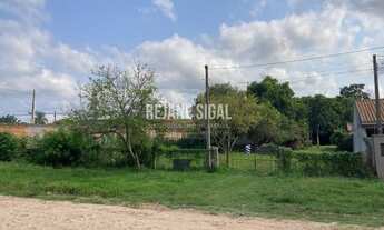 Imagem 2: Pelotas - Terreno Padrão - Areal