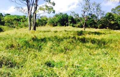 Imagem 4: Excelente fazenda com carvoaria em Presidente Olegário-MG contendo 310 hectares ou seja