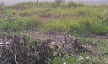 Imagem 3: Terreno Jd Bandeirantes