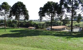 Imagem 6: Fazenda/Sítio/Chácara para aluguel possui 96000 metros quadrados com 3 quartos