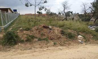 Imagem 2: Lindo terro com ótima topografia!