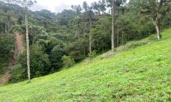 Imagem 6: Área Rural com 4,40ha de área total, para venda. São Franscisco, Urubici