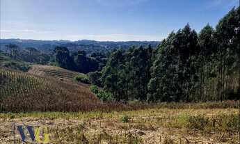 Imagem 4: Chácara para Venda em Balsa Nova, Bugre/Rodeio Santo Antônio