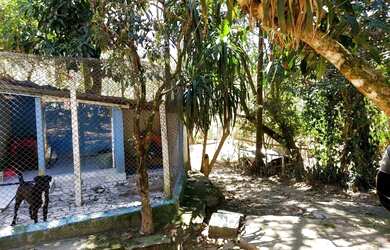 Imagem 6: Chácara à venda, 5506 m² por R$ 1.500.000,00 - Roseira - Mairiporã/SP