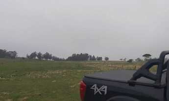 Imagem 4: IçARA - Terreno Padrão - Boa Vista