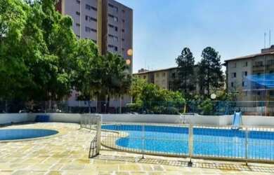 Imagem 4: Parque das Flores São Bernardo do Campo