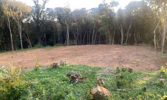 Imagem 6: Chácaras Parceladas em São José dos Pinhais