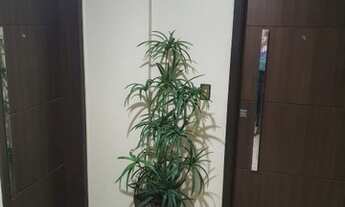 Imagem 6: Apartamento, COCÓ, com 3 qtos, proxímo Praça Martins Dourado!