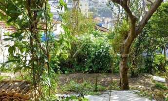 Imagem 9: CASA A VENDA EM UMA DAS MELHORES RUAS DO JARDIM DAO PAUL (ZONA NORTE