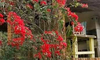 Imagem 4: Fazenda/Sítio/Chácara para venda com 7200 metros quadrados com 3 quartos