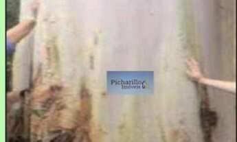 Imagem 3: Fazenda no município de Paranã - Tocantins - Com 3.319 hectares