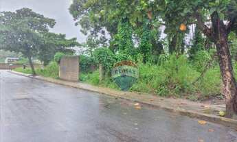 Imagem 3: Vende-se terreno perto de comércios, rua pavimentada as margens da PE60